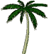 palmetr